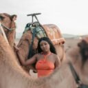 pexels-mehdi-el-marouazi-884979055-26893206